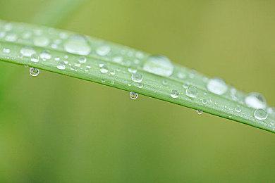 《变形金刚：重新激活》截图泄露 展示多个游戏角色